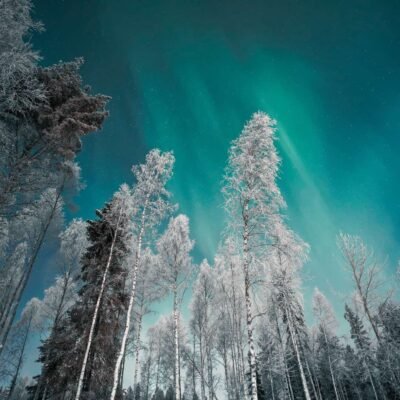 viaje organizado a Laponia para ver Auroras Boreales desde España en grupo